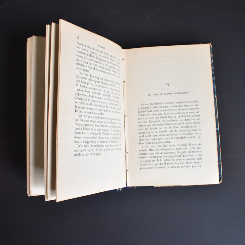 Antique book: Bengale