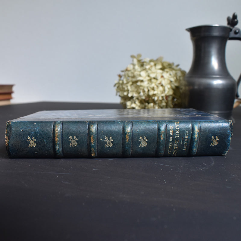 Antique Book: Raoul Daubry