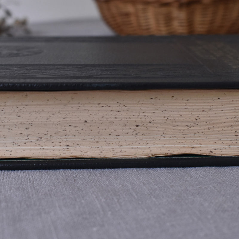 Vintage Encyclopedia Encyclopédie autodidactique Quillet III