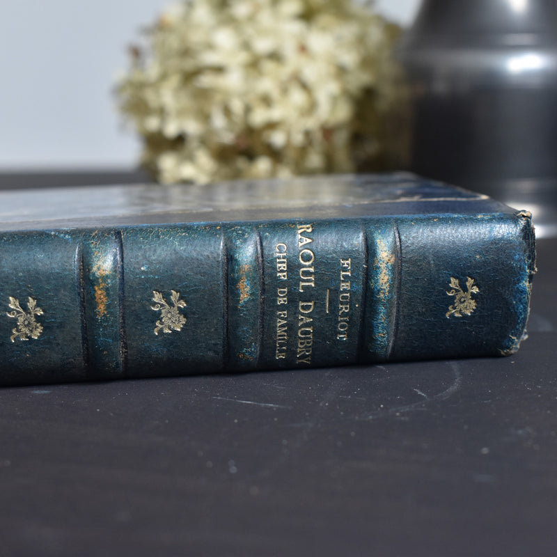 Antique Book: Raoul Daubry