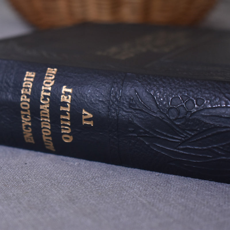 Vintage Encyclopedia: Encyclopédie autodidactique Quillet IV