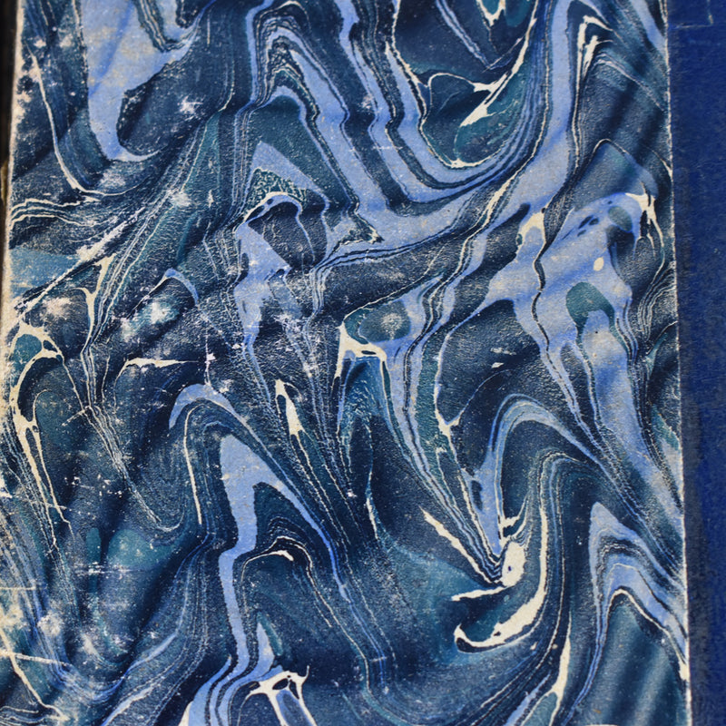 Antique Book: Raoul Daubry