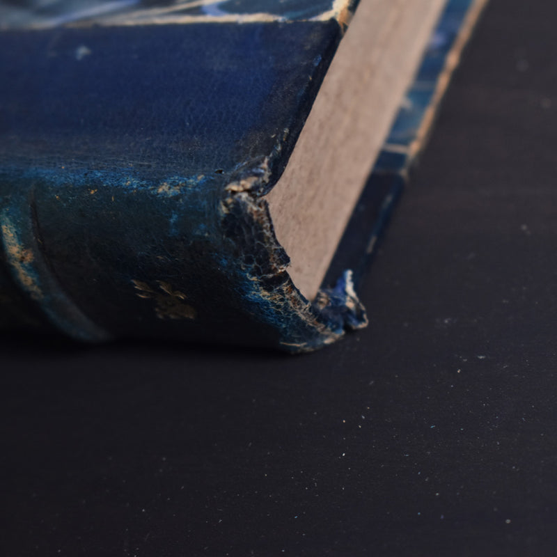 Antique Book: Raoul Daubry