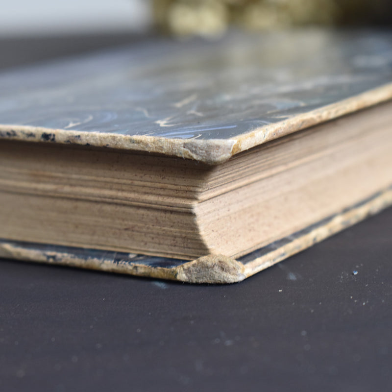 Antique Book: Raoul Daubry