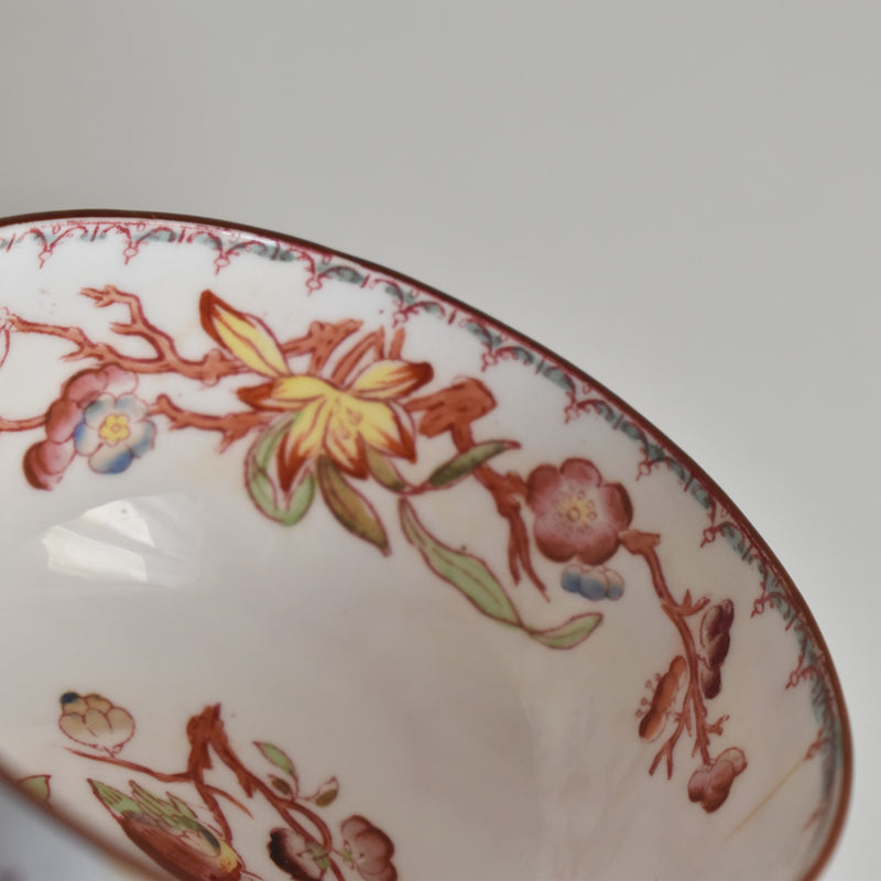 Antique Cup: Sarreguemines Minton 252