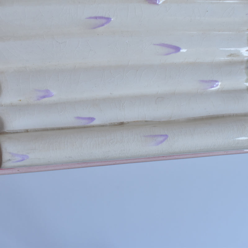 Vintage Asparagus Plate Digoin & Sarreguemines