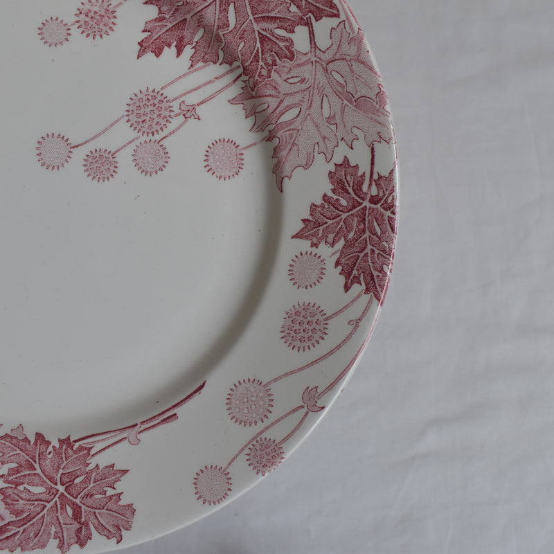 Antique Plate K&G Luneville Platane F