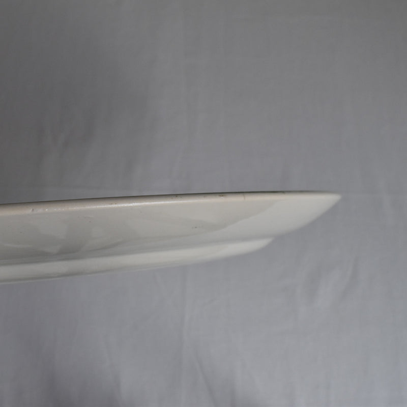 Antique Oval Platter, U&C Sarreguemines Geranium