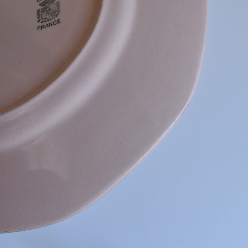 Vintage Plate: Digoin & Sarreguemines Rose