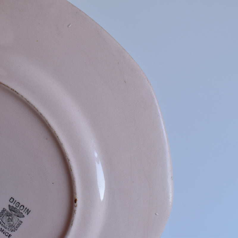 Vintage Plate: Digoin & Sarreguemines Rose