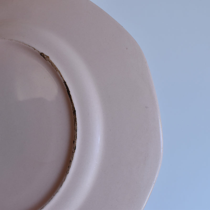 Vintage Plate: Digoin & Sarreguemines Rose