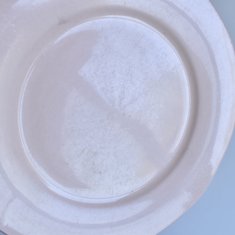 Vintage Plate: Digoin & Sarreguemines Rose