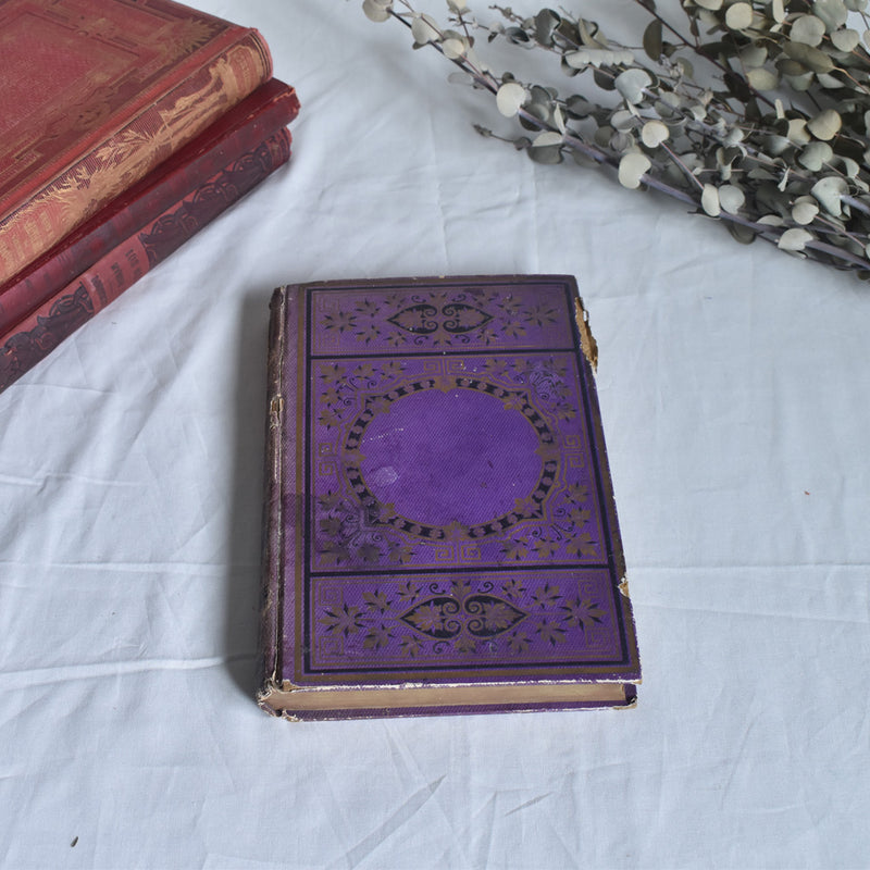 Antique book: Les Colonies Françaises