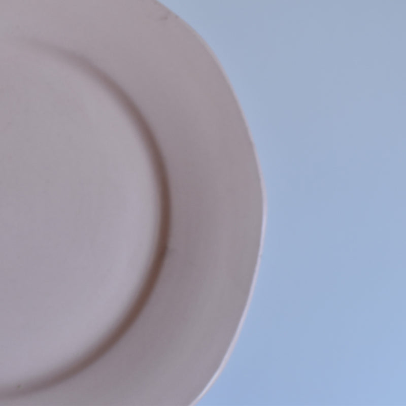Vintage Plate: Digoin & Sarreguemines Rose