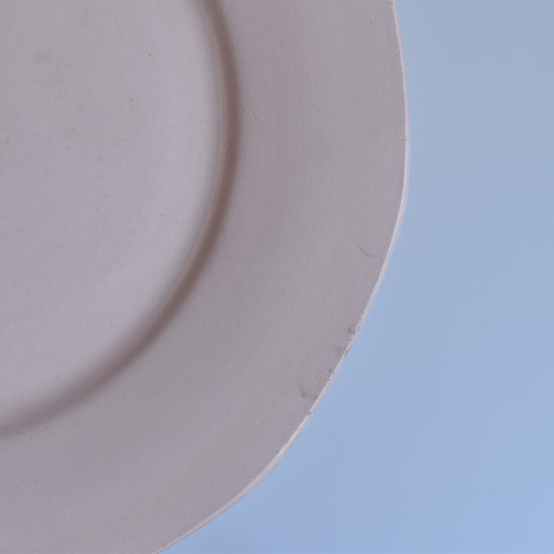 Vintage Plate: Digoin & Sarreguemines Rose
