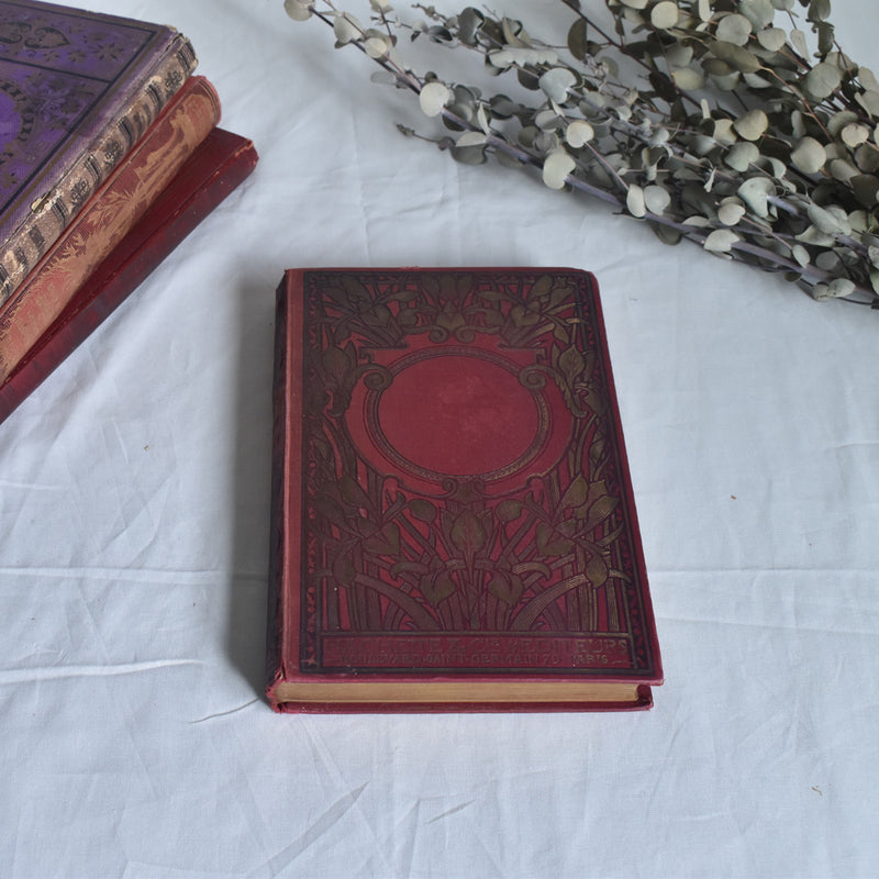 Antique Book - Le Roman d'un Sot
