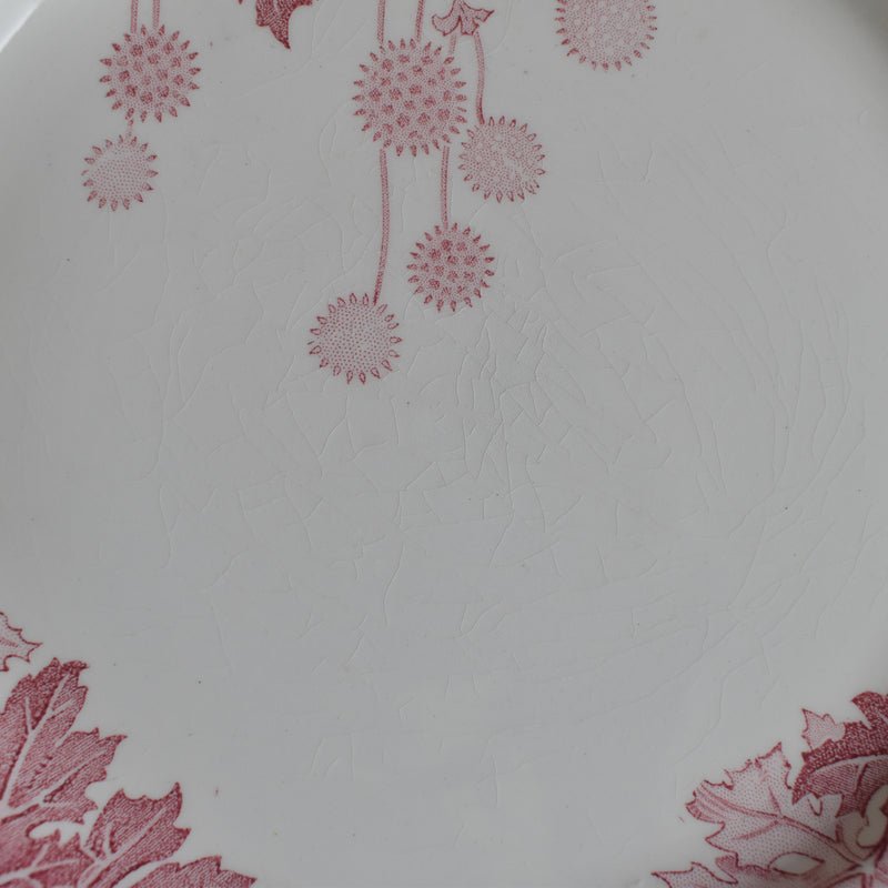 Antique Plate K&G Luneville Platane G