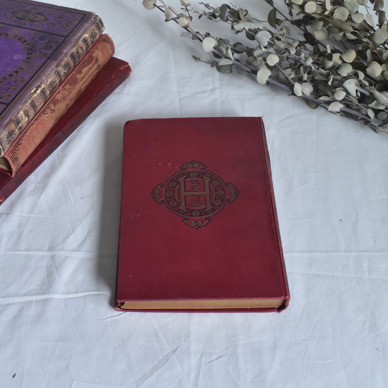 Antique Book - Le Roman d'un Sot