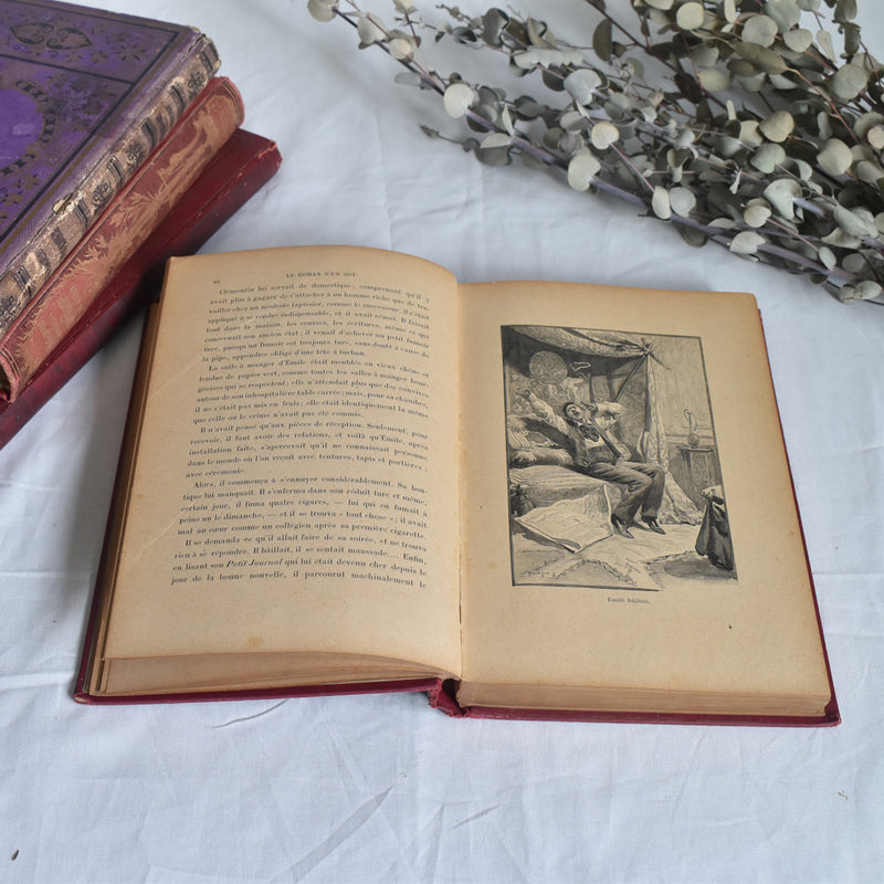 Antique Book - Le Roman d'un Sot
