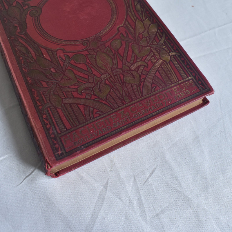 Antique Book - Le Roman d'un Sot