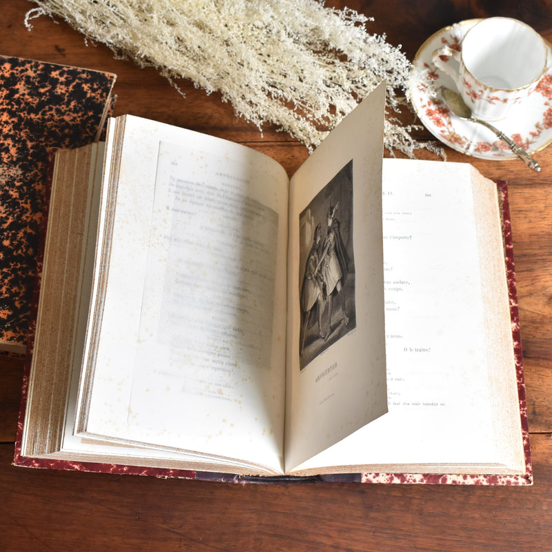 アンティーク本 moliere "Oeuvres completes tome 8"