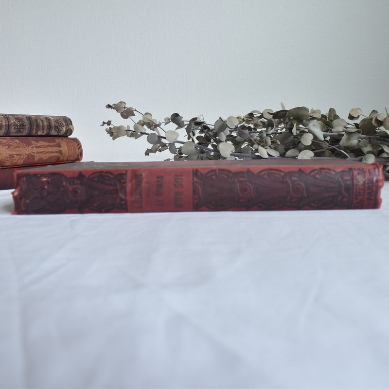 Antique Book - Le Roman d'un Sot