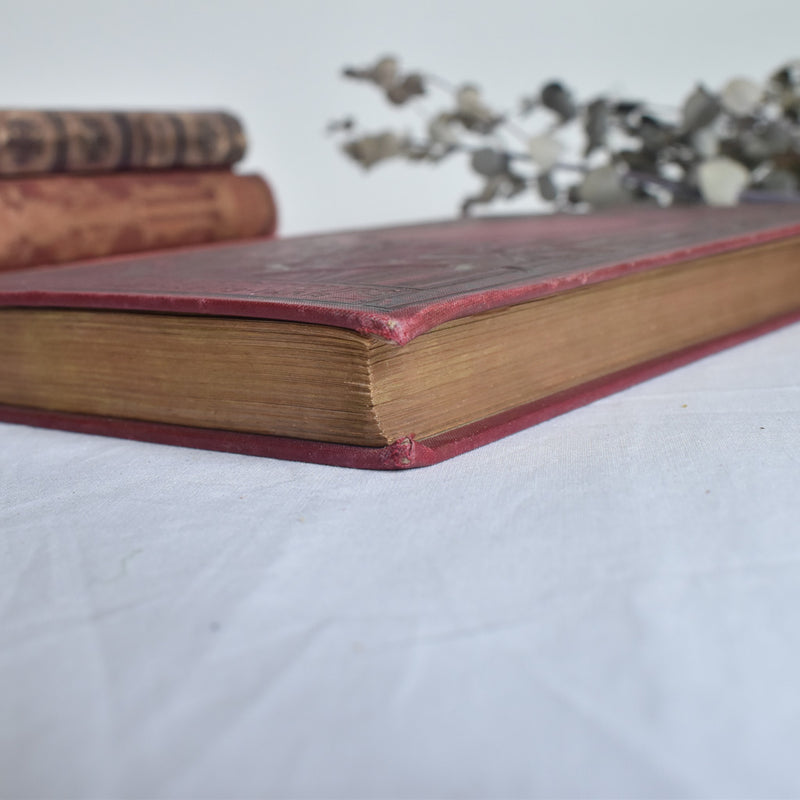 Antique Book - Le Roman d'un Sot
