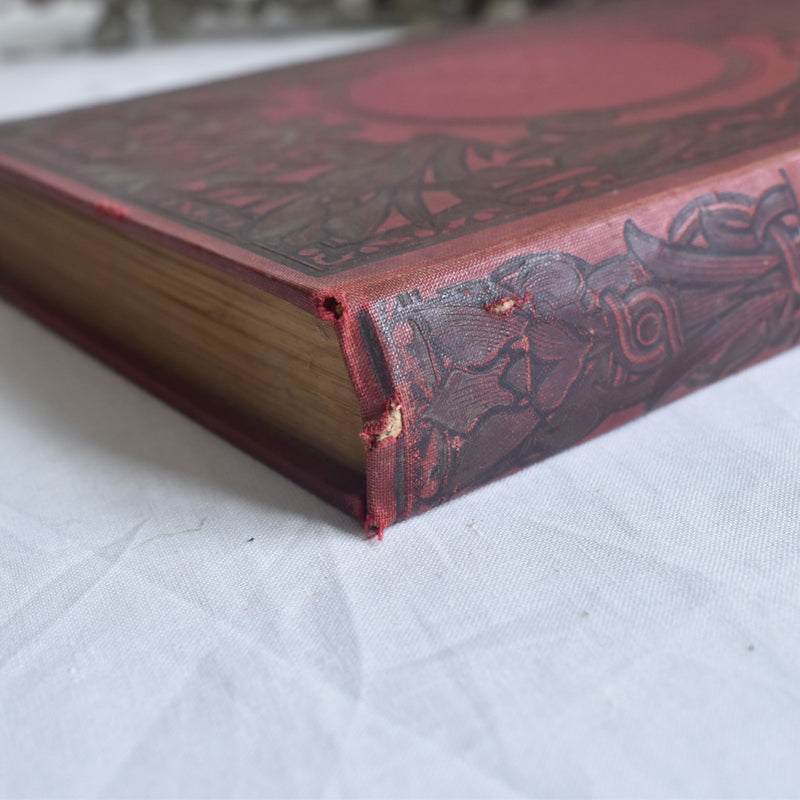 Antique Book - Le Roman d'un Sot