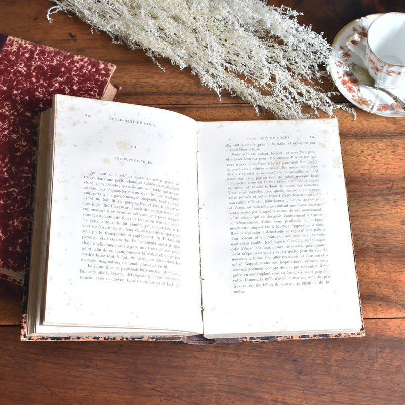 Antique book Victor Hugo "Notre Dame de Paris"