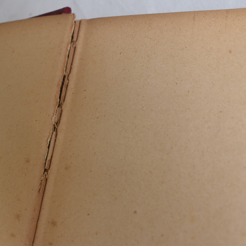 Antique Book - Le Roman d'un Sot