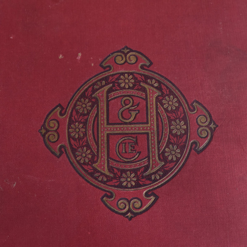 Antique Book - Le Roman d'un Sot