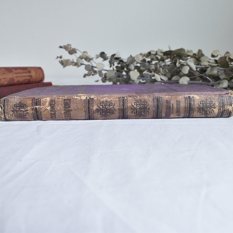 Antique book: Les Colonies Françaises