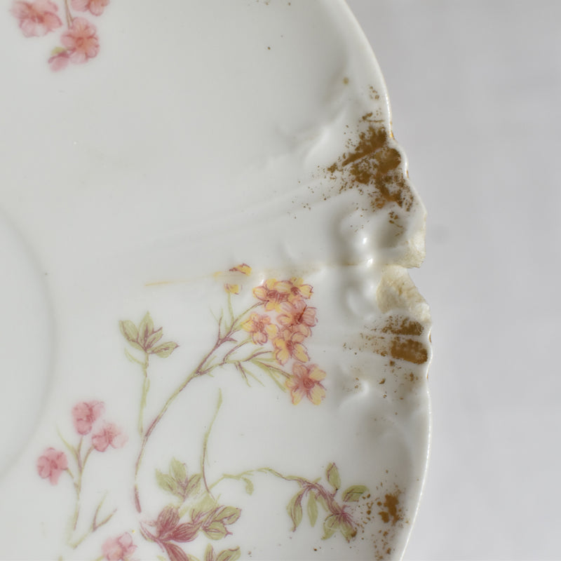 Antique Cup & Saucer CFH/GDM (Haviland) A