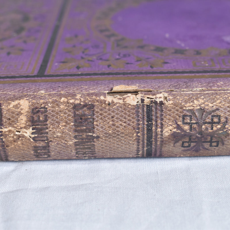 Antique book: Les Colonies Françaises