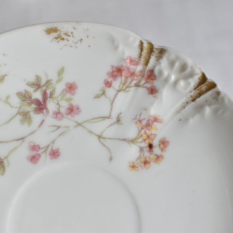 Antique Cup & Saucer CFH/GDM (Haviland) A