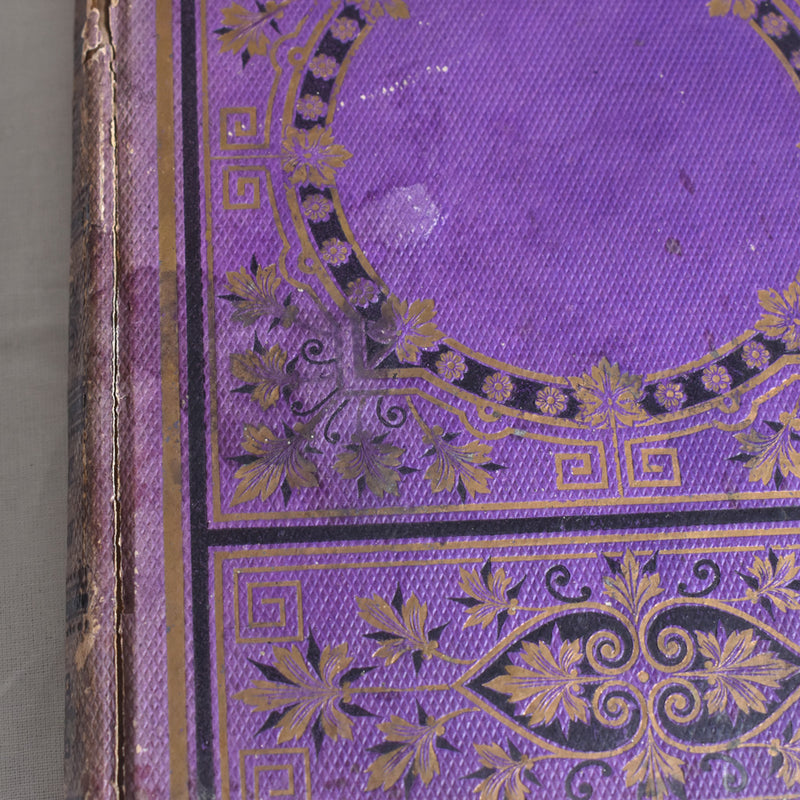 Antique book: Les Colonies Françaises