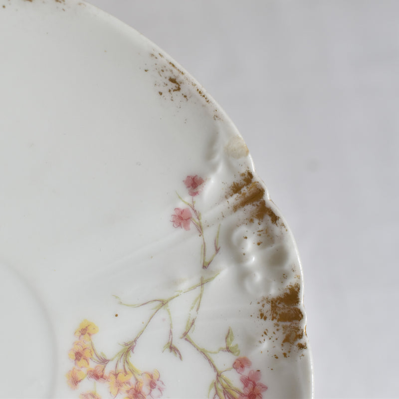 Antique Cup & Saucer CFH/GDM (Haviland) A