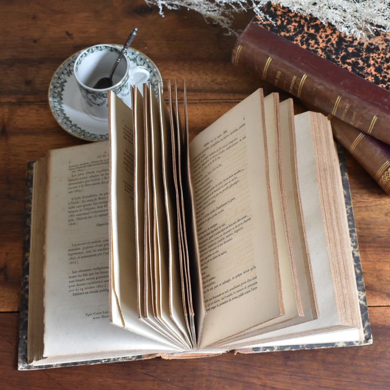 Antique book "Lois et Reglements des douanes"