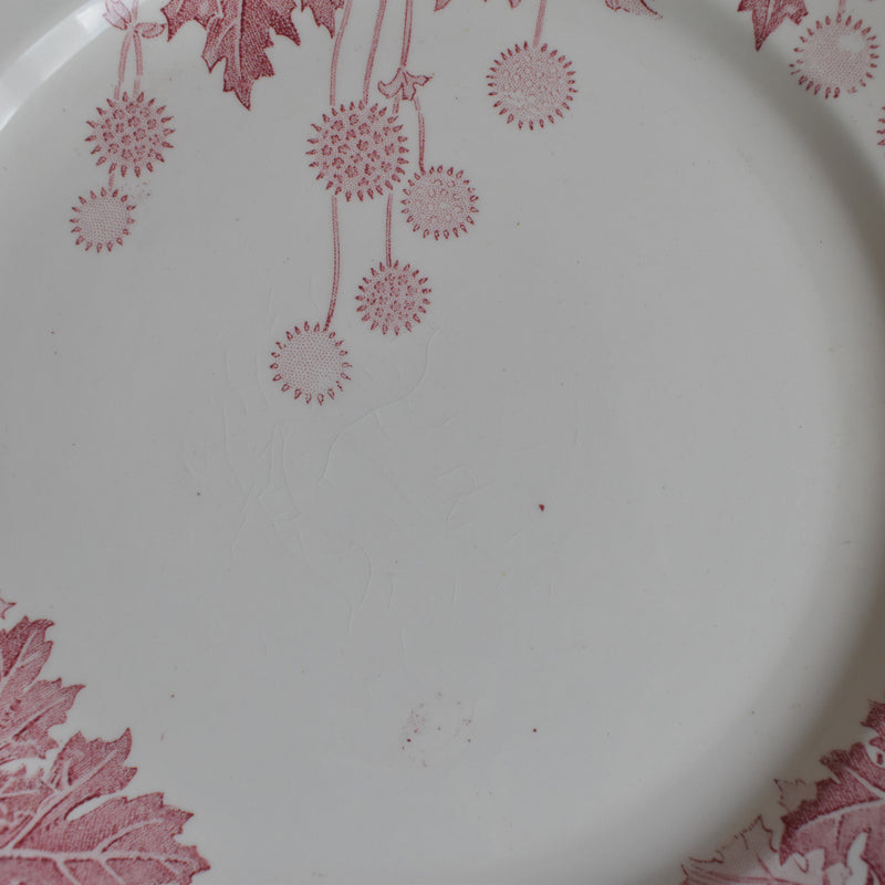 Antique Plate K&G Lunéville Platane H