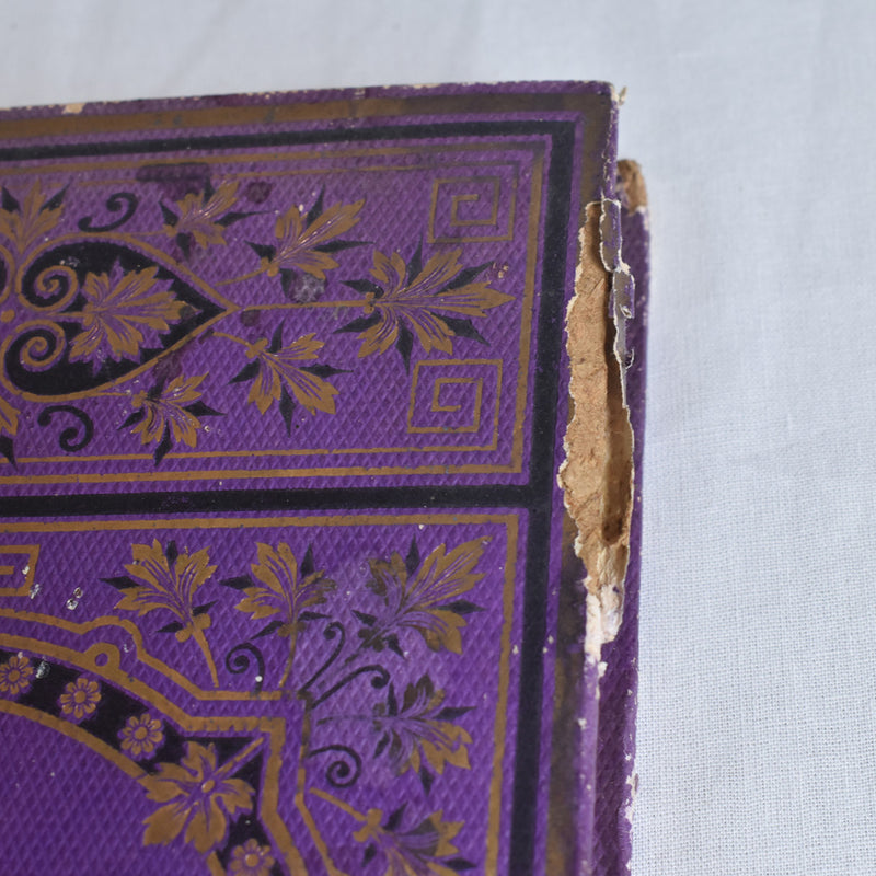 Antique book: Les Colonies Françaises