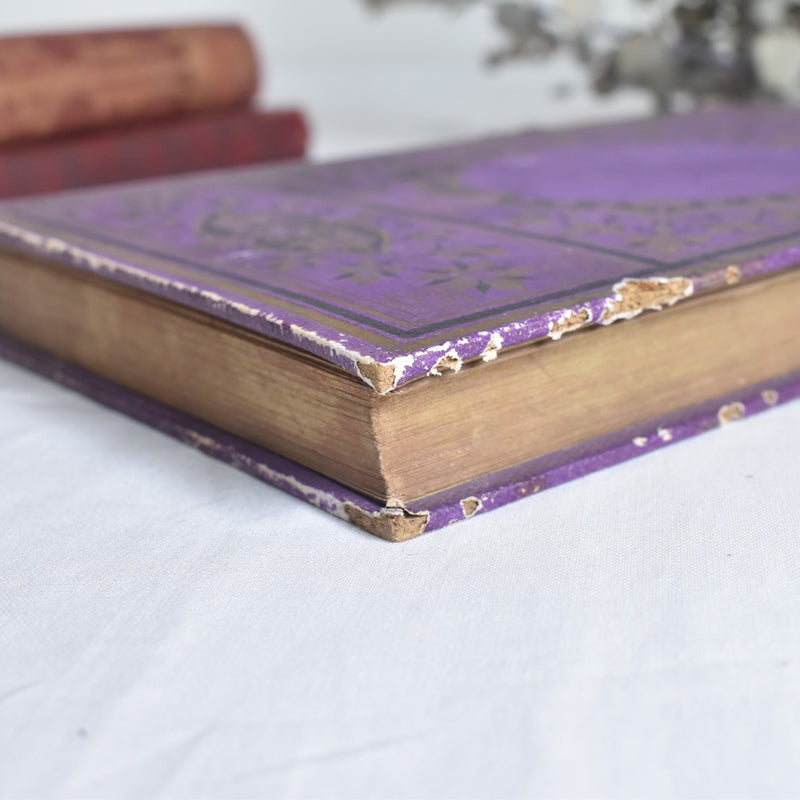 Antique book: Les Colonies Françaises