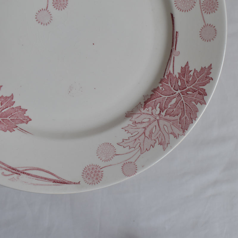 Antique Plate K&G Lunéville Platane H