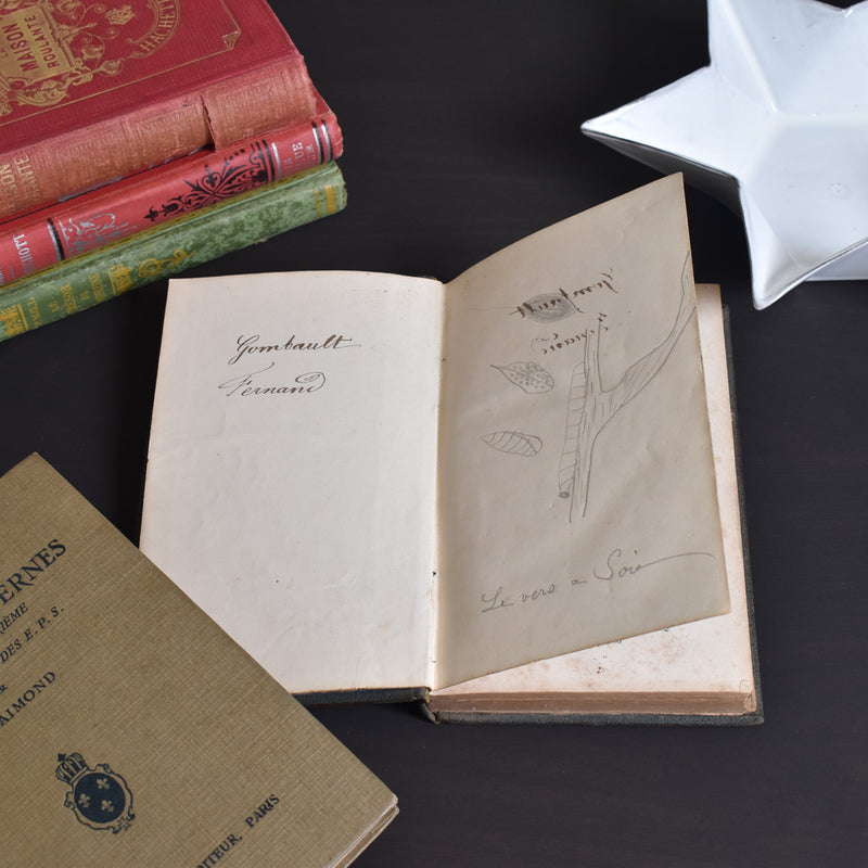 Antique book: Les animaux Industrieux