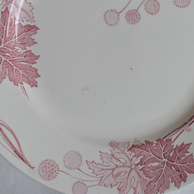 Antique Plate K&G Lunéville Platane H