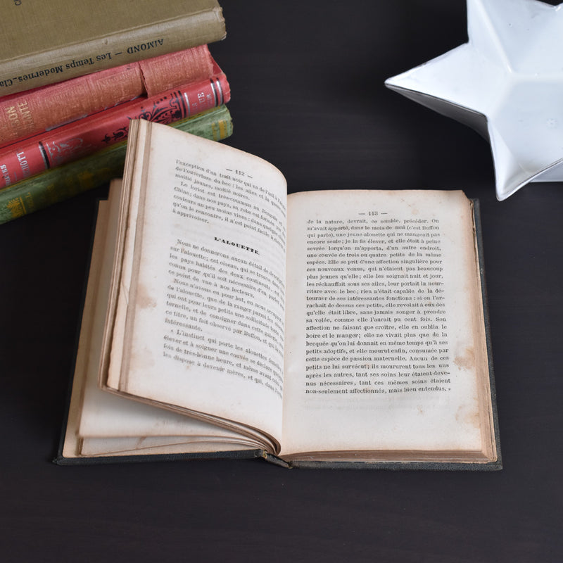 Antique book: Les animaux Industrieux