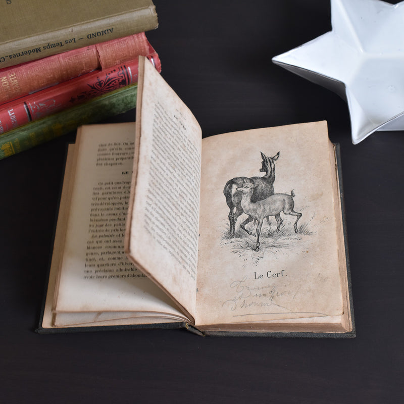 Antique book: Les animaux Industrieux