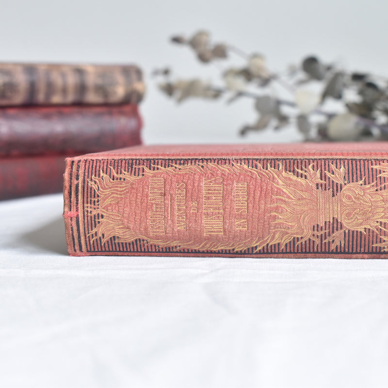 Antique book: Les aventures de trois Fugitifs