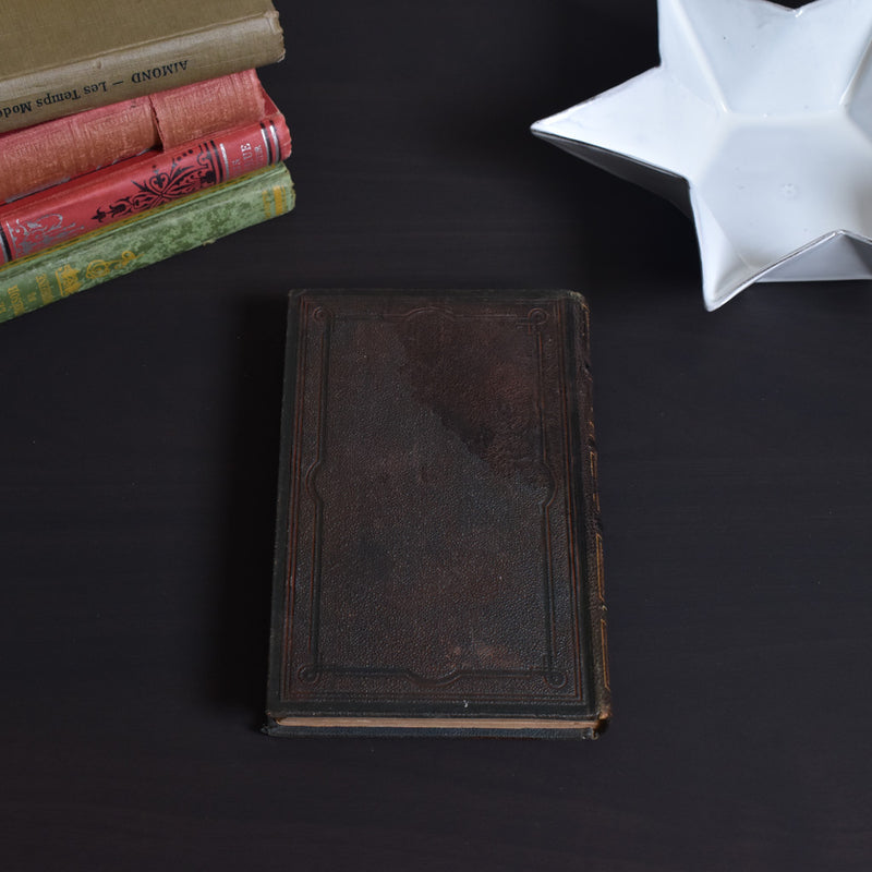 Antique book: Les animaux Industrieux