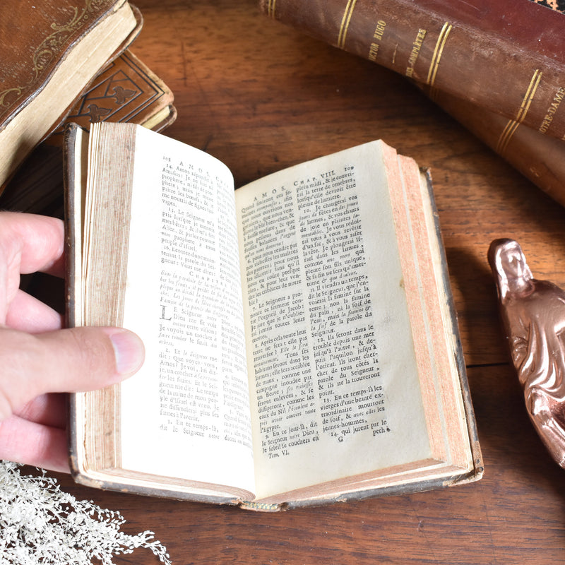 Antique book "La Sainte Bible" 6 volumes