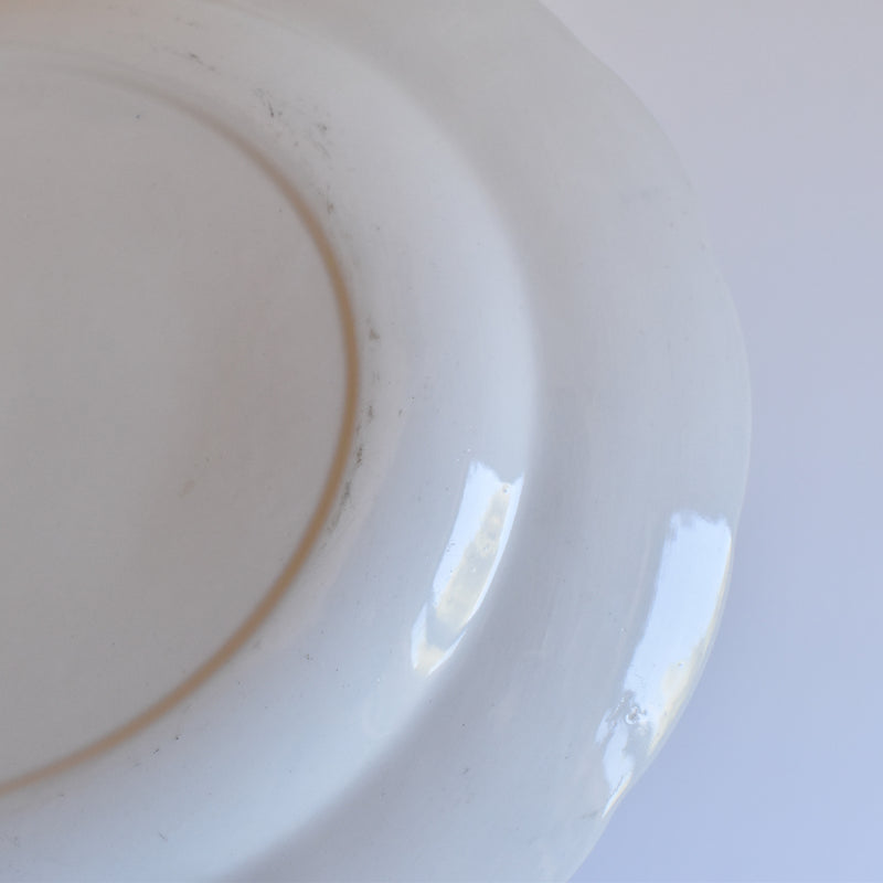 Vintage Oval Plate, Staffordshire Windsor